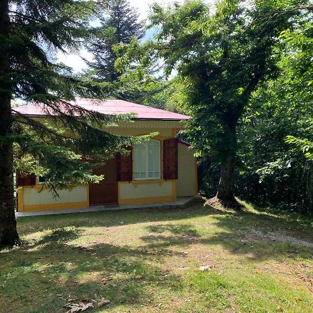 Casa Del Castagno: Un Nido Nel Castagneto Villa Pistoia Ngoại thất bức ảnh
