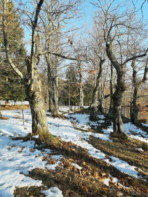 Casa Del Castagno: Un Nido Nel Castagneto Villa Pistoia Ngoại thất bức ảnh