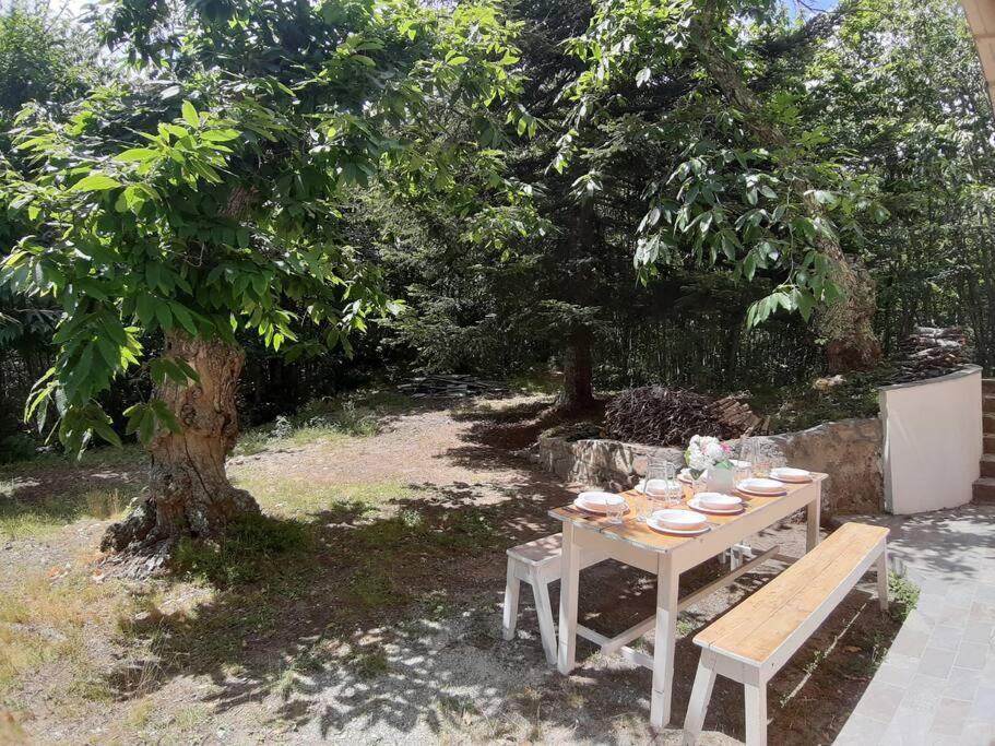 Casa Del Castagno: Un Nido Nel Castagneto Villa Pistoia Ngoại thất bức ảnh