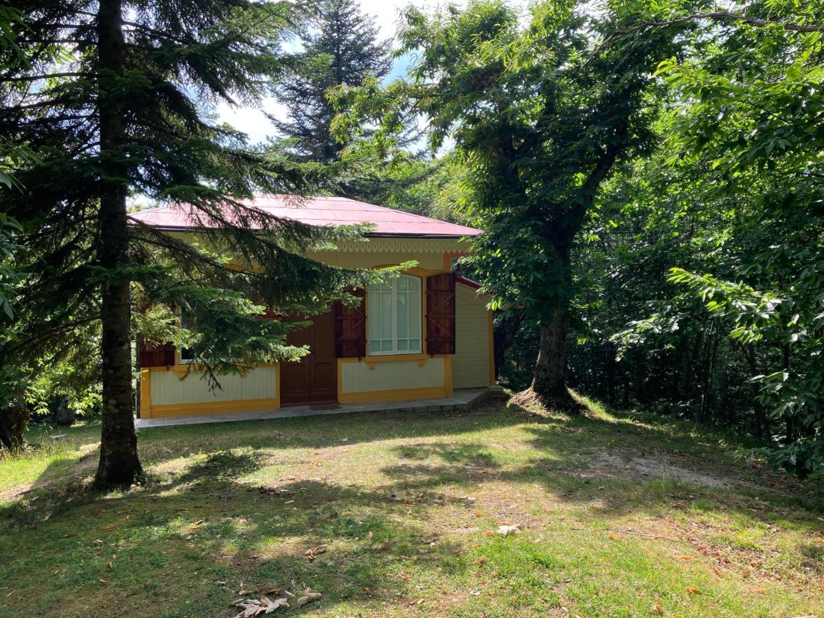 Casa Del Castagno: Un Nido Nel Castagneto Villa Pistoia Ngoại thất bức ảnh